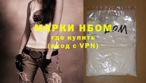 стафф Корсаков