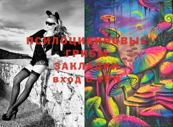 дживик Костерёво